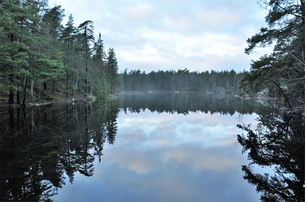表达感谢的句子简短27条