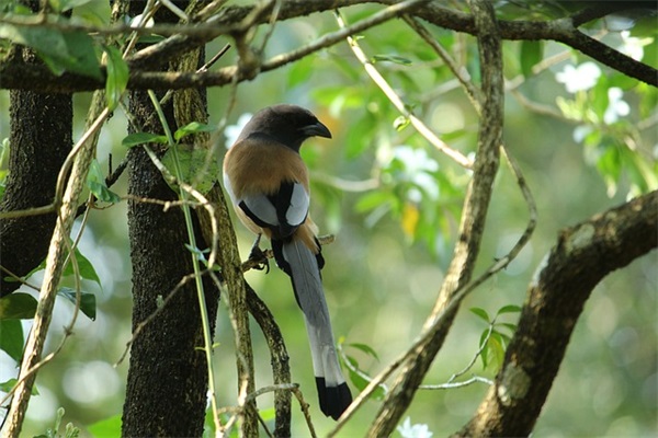 加油励志的句子分享