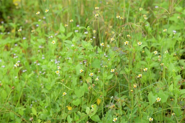 结束一天的忙碌的句子(36条)