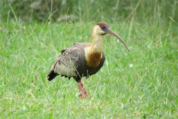 2025适合发微信的情人节说说文案