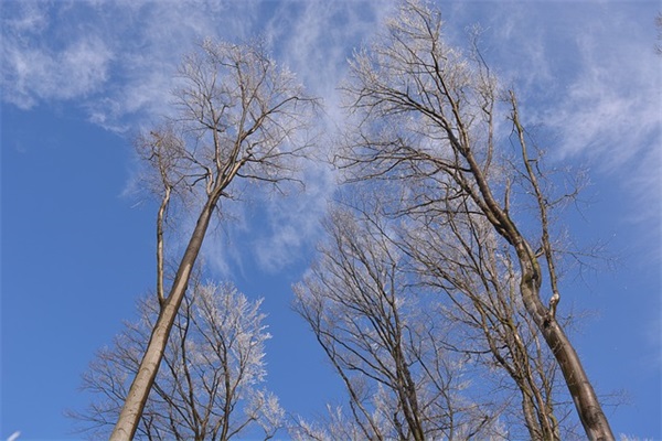 平安夜寓意平安的文案说说