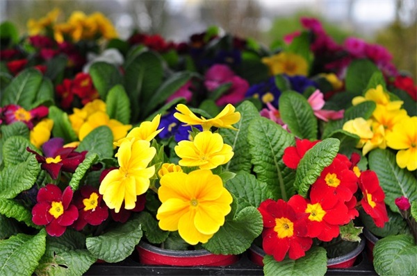 除夕夜走心文案说说