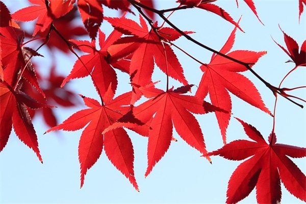 早安心语正能量一句话 励志早安说说