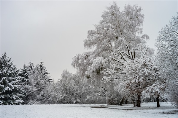 感恩生日发朋友圈的句子117句