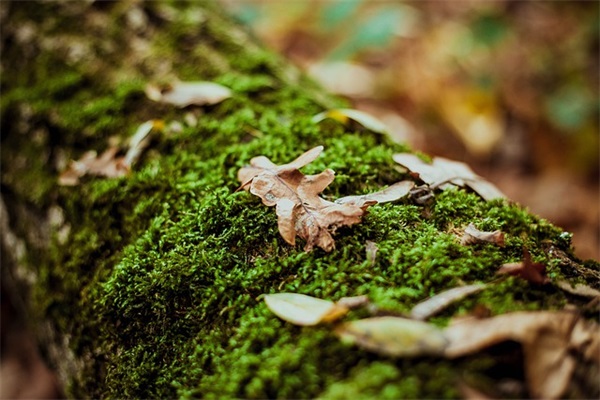 人心的句子汇总77句