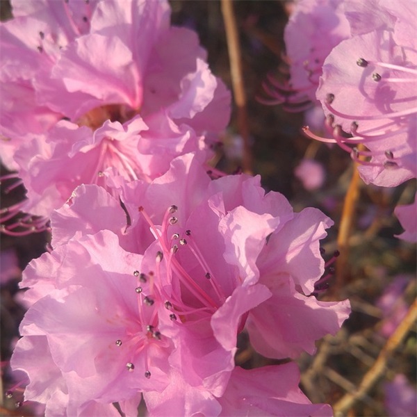 内心孤独的句子80句