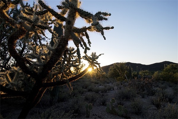 关于儿童成长的句子67句
