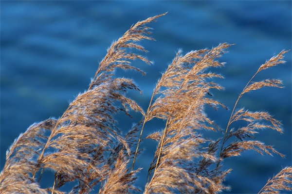 二年级的句子摘抄67句