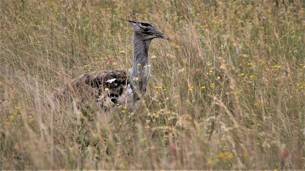 2025最新版个性心情说说 2025说说心情短语句子