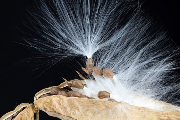 关于常说的文案