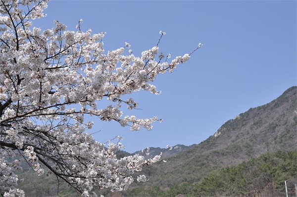 四月你好说说文案精选 四月你好文案短句干净