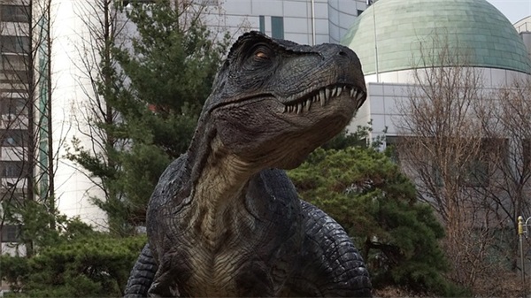 发表说说的句子心情短语