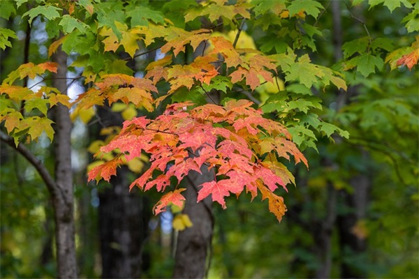 qq空间超赞说说120句