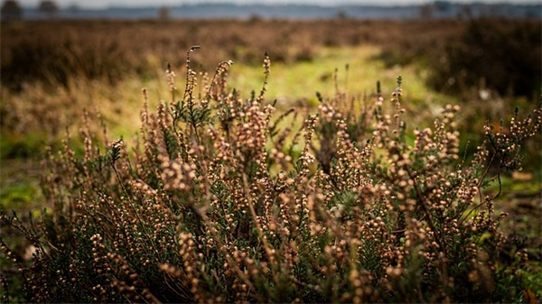 很精辟的爱情说说