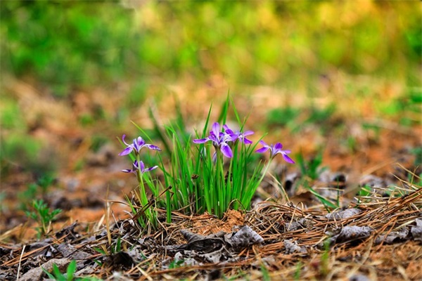 情话个性说说心语