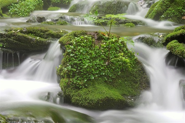 一个人寂寞的说说-84句