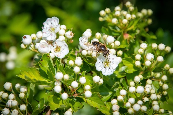 经典句子：一厢情愿，就得愿赌服输