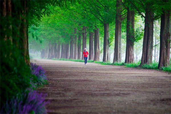 2026赞美老师辛勤付出的经典句子四十句