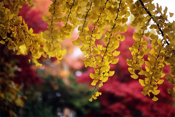 谢师宴上感谢老师谆谆教诲的暖心句子