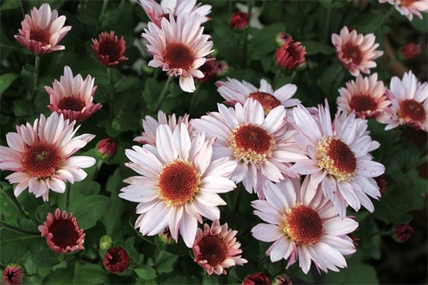 让人直呼卧槽有病的神个性签名 搞笑人必备的签名