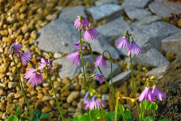 超拽的正能量个性签名 签名大全短的霸气超拽