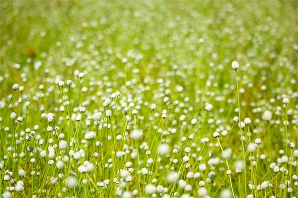 很戳心窝的难过伤感签名 情绪化的难过签名