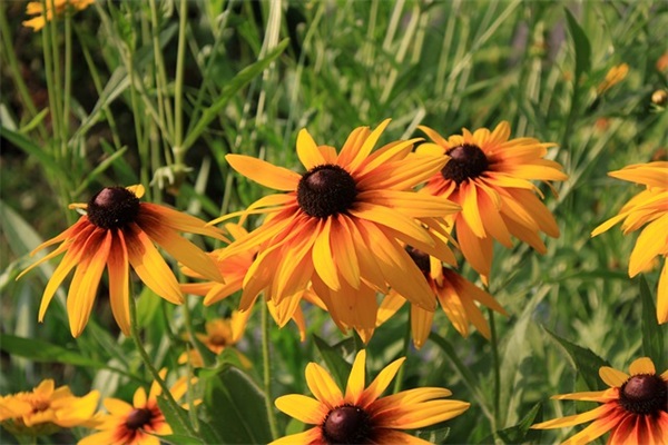 极简风格句子精选31句