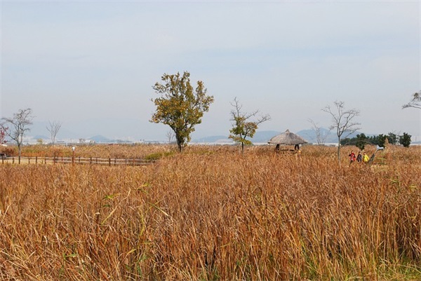 朋友父亲病逝,怎么写安慰话(精选22句)