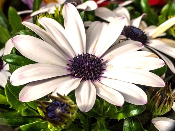 旅游专业的求职信