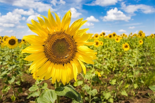 演讲稿150字 范文