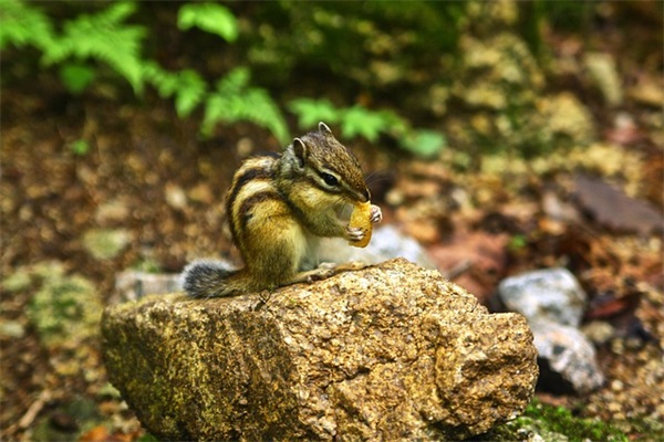 调岗申请书范文