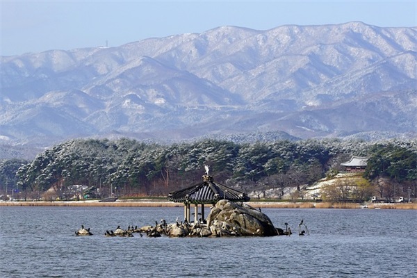 表达感情的古风句子