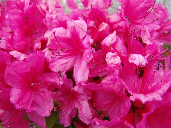 2025年表达对女子爱慕之情的句子