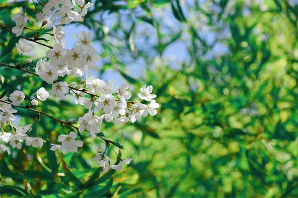 给男朋友的感人句子