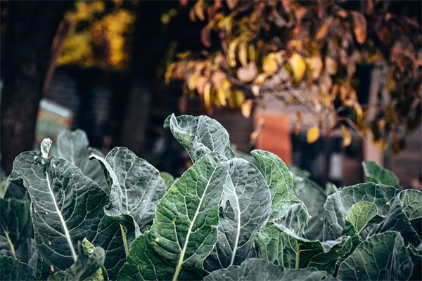 一人委屈到哭的句子83句