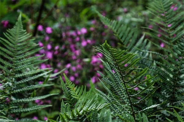 一家人温馨的文案 晒一家四口的幸福句子抖音