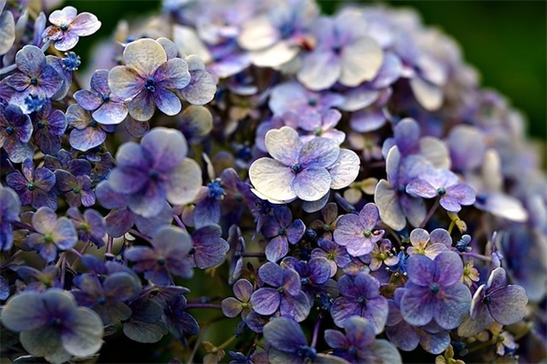 积极向上的短句子