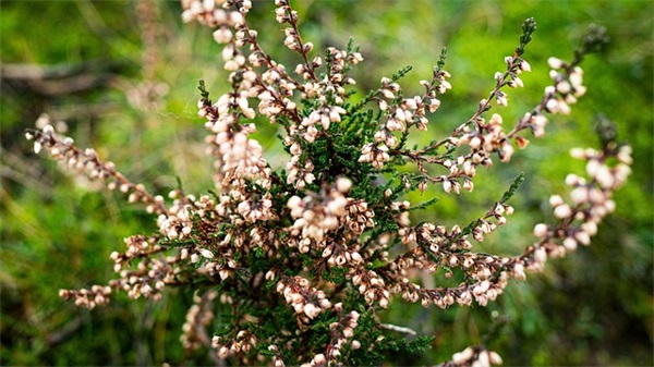 三个字简约古风网名