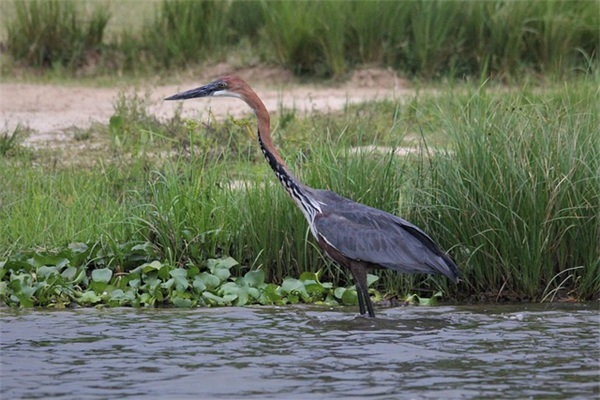 古风优美句子赏析大全