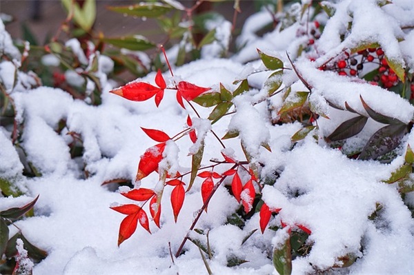 最美好的心情的句子