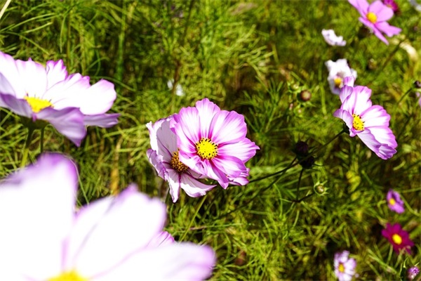 简短亲子时光感悟 陪孩子的周末时光美好句子