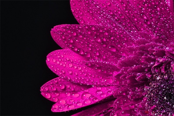 调侃自己的短句 自己调侃自己的句子