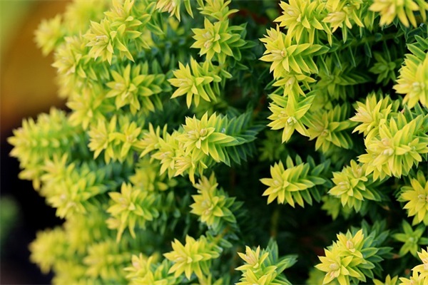 最新关于七年级仿写句子练习