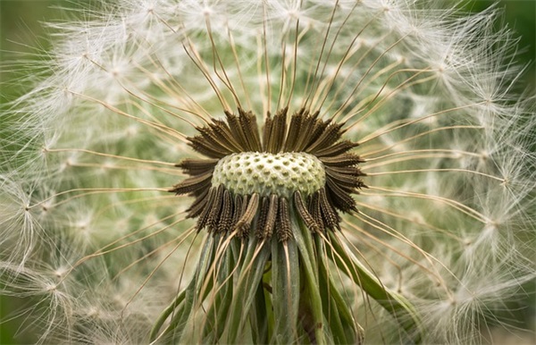 爱情心里话的句子