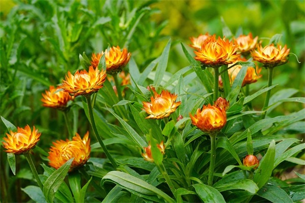 情侣恋爱的早安句子文案