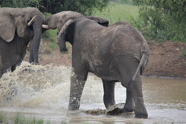 关于热心肠的句子