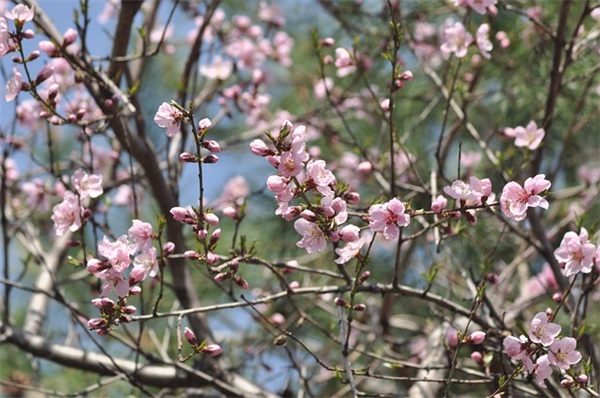 失望的句子大全赏析