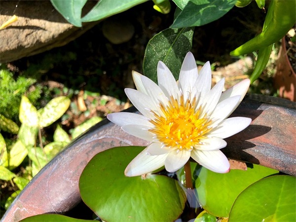 描述性格的英语句子