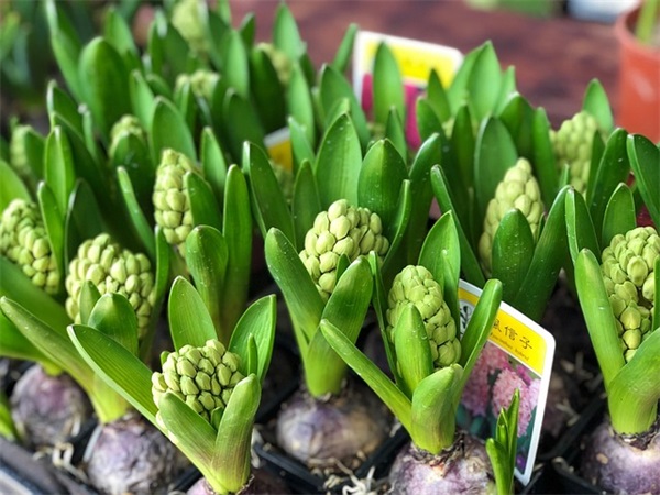 最好的我们句子摘抄 最好的我们句子摘抄赏析