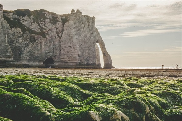 离职后感谢公司的句子